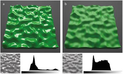 Effects of Shape, Roughness and Gloss on the Perceived Reflectance of Colored Surfaces
